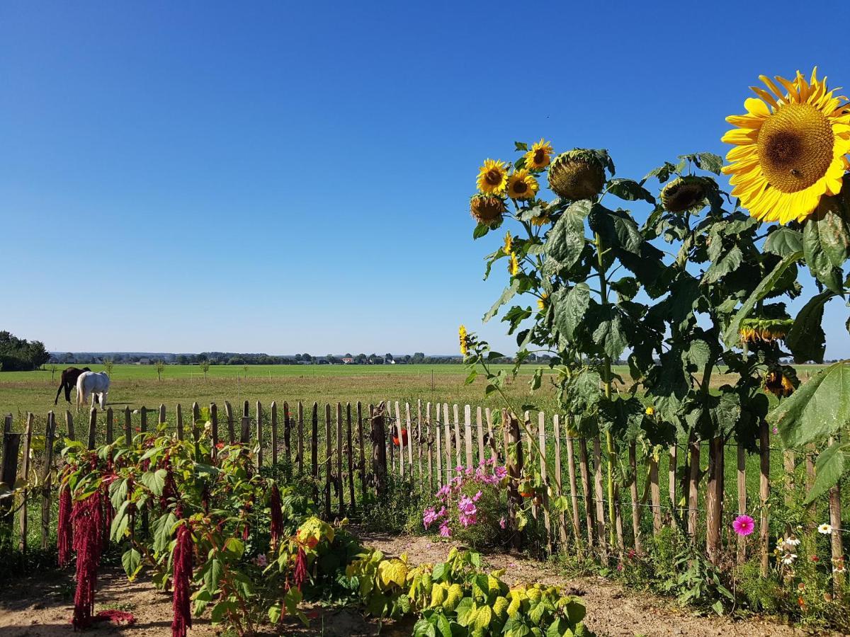 Heimatliebe Ferienwohnung Borgerende-Rethwisch Bagian luar foto