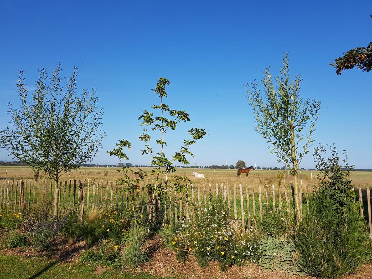 Heimatliebe Ferienwohnung Borgerende-Rethwisch Bagian luar foto